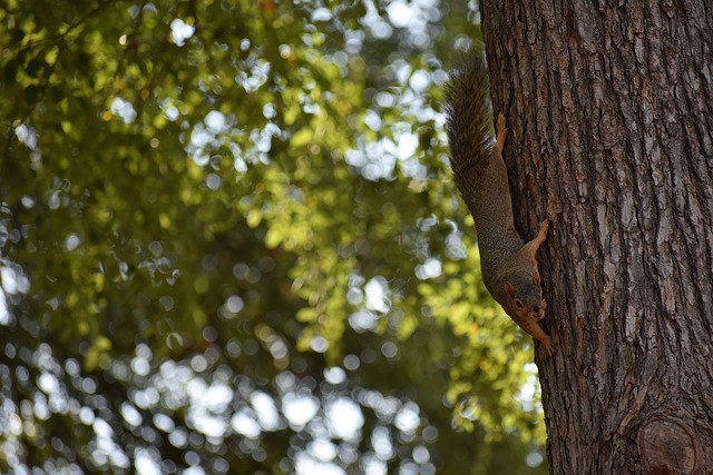 太阳的表现 太阳的表现