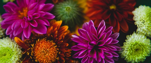 比赛转型中 比赛转型中