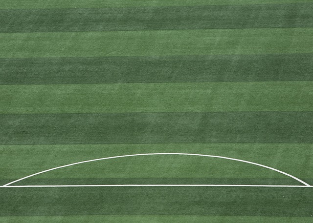 通过技术手 通过技术手