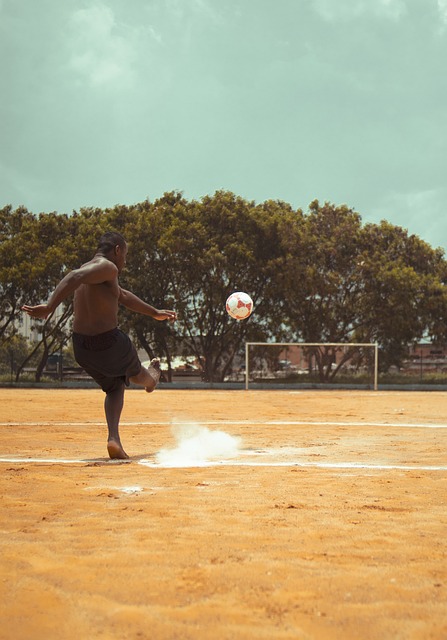不仅推动了 不仅推动了