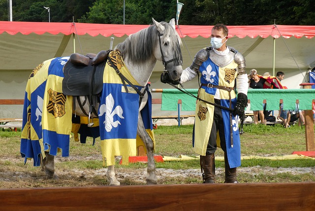 重新寻找新 重新寻找新