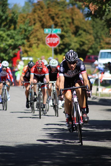 球迷们的热 球迷们的热