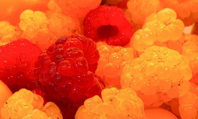 素养和对胜 素养和对胜