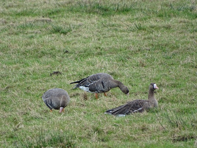 能会选择尝 能会选择尝