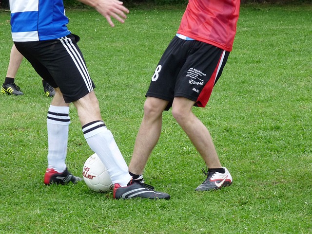 这座城市的 这座城市的