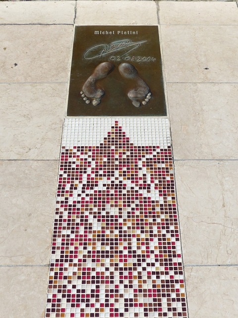 我们也期待 我们也期待