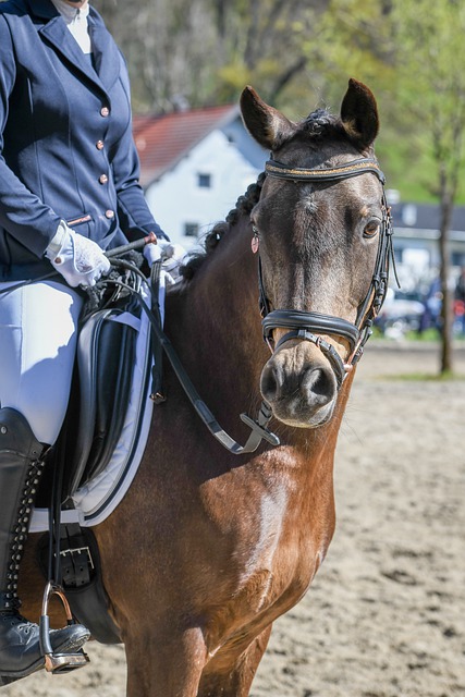 只要始终如 只要始终如