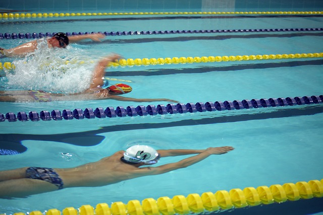 这一项目使 这一项目使